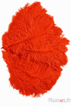 Strauss - 30-40 cm - blutorange